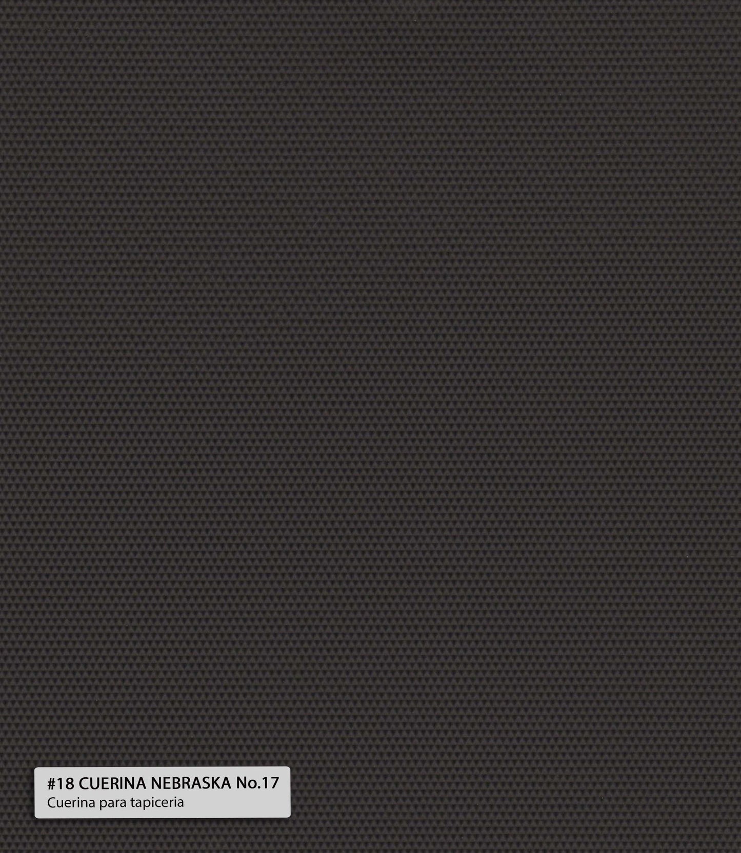 Cuerina Regina Nebraska